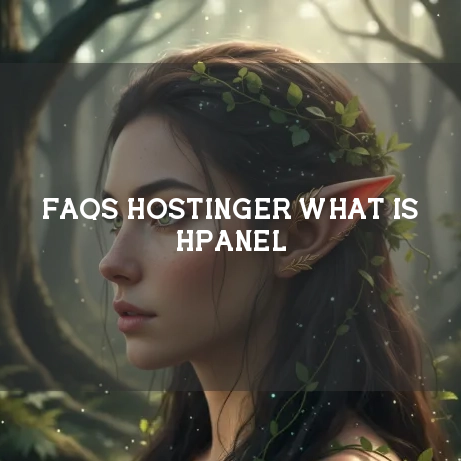 Hostinger FAQs Banner